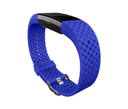fitbit belt charge 2
